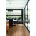 LVT Βινυλική Λωρίδα Duke Dryback - 2mm DU001 Warm LVT Βινυλική Λωρίδα Duke Dryback - 2mm DU001 Warm