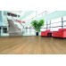 LVT Βινυλική Λωρίδα Duke Dryback - 2mm DU002 Sandy LVT Βινυλική Λωρίδα Duke Dryback - 2mm DU002 Sandy