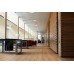 LVT Βινυλική Λωρίδα Emperor Dryback - 2,5mm EMP06 Golden Oak LVT Βινυλική Λωρίδα Emperor Dryback - 2,5mm EMP06 Golden Oak