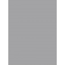 PVC Βινυλικό Ρολό Ομοιογενές Naivete 20026 Γκρι