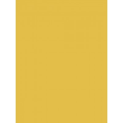 PVC Βινυλικό Ρολό Ομοιογενές Naivete 20029 Κίτρινο