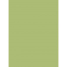 PVC Βινυλικό Ρολό Ομοιογενές Naivete 20031 Λαχανί