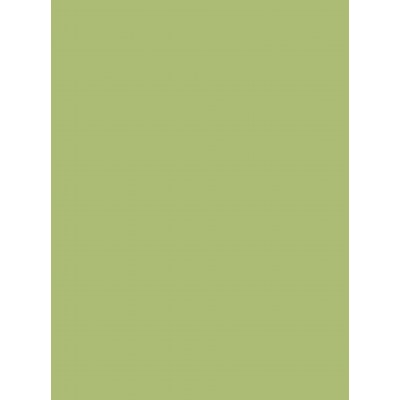 PVC Βινυλικό Ρολό Ομοιογενές Naivete 20031 Λαχανί