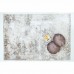 Χαλί Ezzo Veneto D296A1W Cream