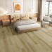 SPC Βινυλική Λωρίδα Tigris Savanna Click - 4V 5mm SPC Βινυλική Λωρίδα Tigris Savanna Click - 4V 5mm