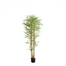 BAMBOO NP0075_180 Ύψος 180cm