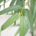 BAMBOO NP5801_150_22_UV Ύψος 150cm