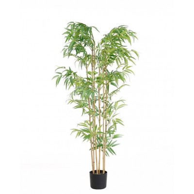 BAMBOO NP5801_150_22_UV Ύψος 150cm