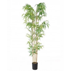 BAMBOO NP5801_180_22_UV Ύψος 180cm