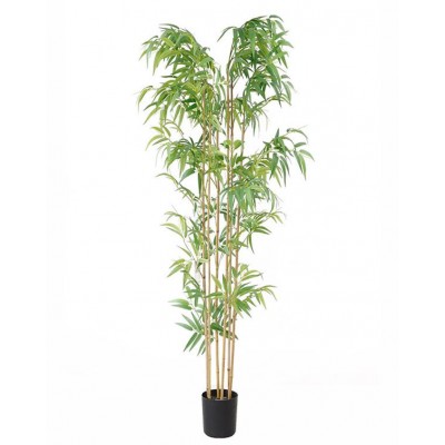 BAMBOO NP5801_180_22_UV Ύψος 180cm