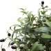 OLIVE TREE NP5807_150_22_UV Ύψος 150cm