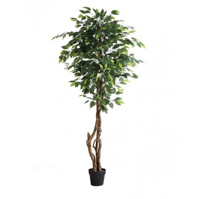 FICUS TREE NP5209_180 Ύψος 180cm