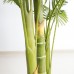 PALM TREE NP5506_180_22 Ύψος 180cm
