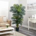 PALM TREE NP5506_180_22 Ύψος 180cm