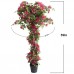 BOUGAINVILLEA NP_34_160 Ύψος 160cm