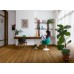 LVT Βινυλικό Δάπεδο Quick-Step Bloom Botanic Caramel Oak AVMPU40315