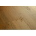 LVT Βινυλικό Δάπεδο Quick-Step Bloom Botanic Caramel Oak AVMPU40315
