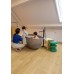 LVT Βινυλικό Δάπεδο Quick-Step Bloom Brushed Oak Honey AVMPU40318