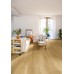 LVT Βινυλικό Δάπεδο Quick-Step Bloom Brushed Oak Honey AVMPU40318