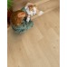 LVT Βινυλικό Δάπεδο Quick-Step Blos Coast Oak Beige AVSPU40321