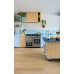 LVT Βινυλικό Δάπεδο Quick-Step Blos Coast Oak Beige AVSPU40321