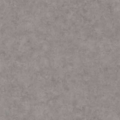 Ταπετσαρία τοίχου Color-Box-2 Beton Raw Concrete Gray 101489600 53Χ1005