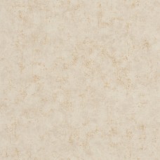 Ταπετσαρία τοίχου Color-Box-2 Beton Gold String 101491127 53Χ1005