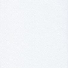 Ταπετσαρία τοίχου Color-Box-2 Hanami White-Silver 100400101 53Χ1005