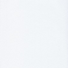 Ταπετσαρία τοίχου Color-Box-2 Hanami White-Silver 100400101 53Χ1005