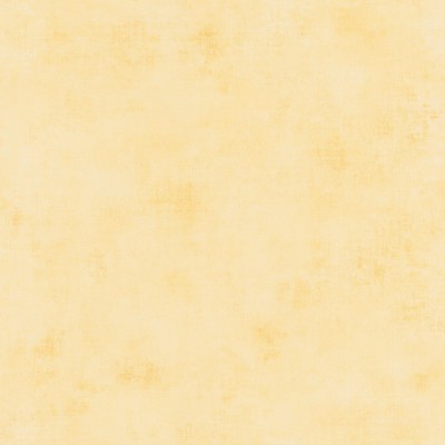 Ταπετσαρία τοίχου Color-Box-2 Telas Pale Yellow 69872245 53X1005