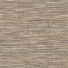 Ταπετσαρία τοίχου Color-Box-2 Uni Light Hazelnuts 69582499 53X1005
