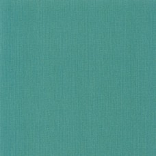 Ταπετσαρία τοίχου Uni Natte Mint Green 101567449 53X1005