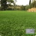 Carpet Grass Beverly Hills 40 mm