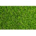 Carpet Grass Malibu 30 mm
