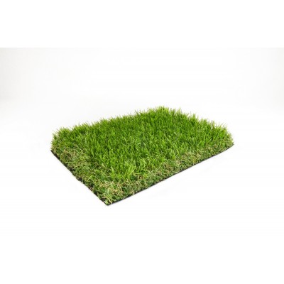 Carpet Grass Manhattan 50mm
