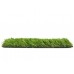 Carpet Grass Santa Monica 40 mm