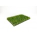 Carpet Grass Venice 35 mm