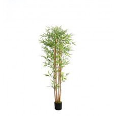 BAMBOO NP0075_180 Height 180cm