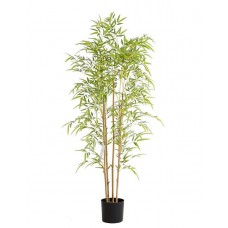 BAMBOO NP6320_150_22 Height 150cm