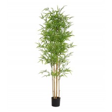 BAMBOO NP6321_180_22 Height 180cm