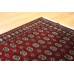 Handmade Carpet Bokhara 1016 161x242